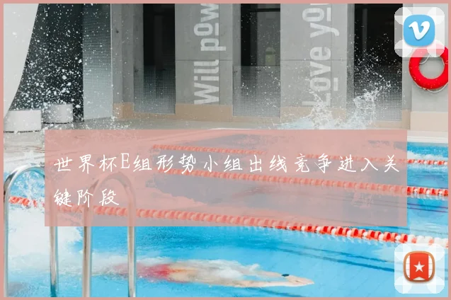 世界杯E组形势小组出线竞争进入关键阶段