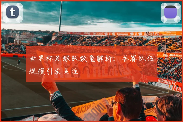 世界杯足球队数量解析：参赛队伍规模引发关注