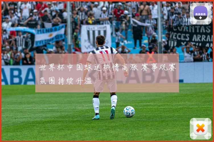 世界杯中国球迷热情高涨 赛事观赛氛围持续升温