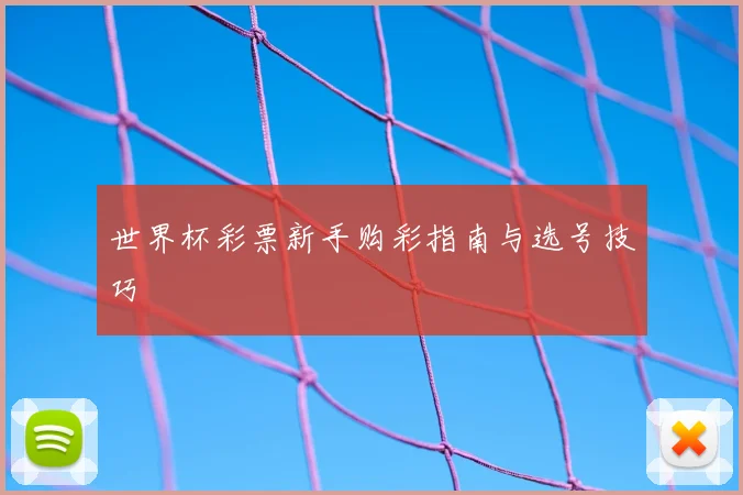 世界杯彩票新手购彩指南与选号技巧