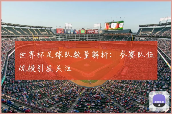 世界杯足球队数量解析：参赛队伍规模引发关注