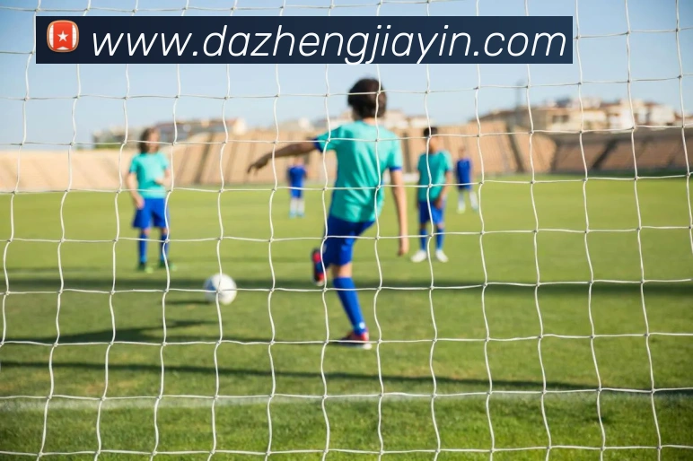 球赛押注app官网平台生态图